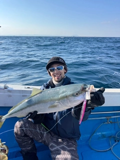 ブリの釣果