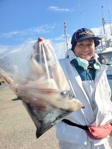 ヤリイカの釣果