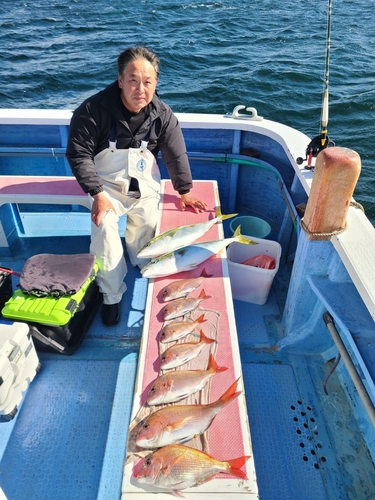 マダイの釣果