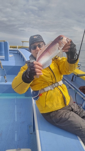 アマダイの釣果