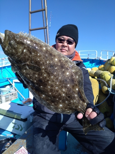 ヒラメの釣果