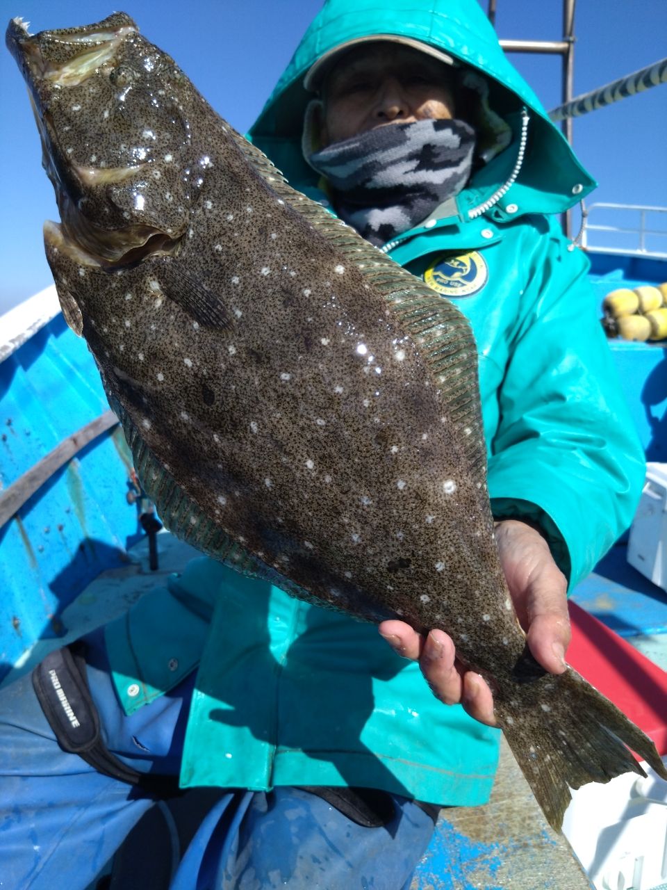 三浦丸　船長さんの釣果 2枚目の画像