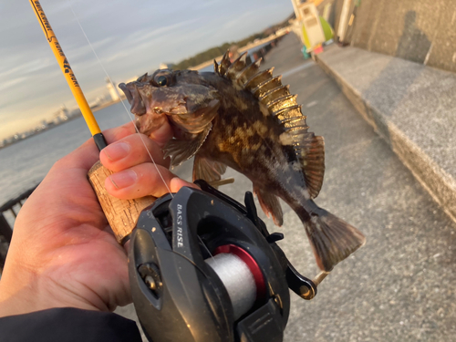 若洲海浜公園海釣り施設