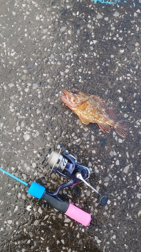 鹿児島湾南部