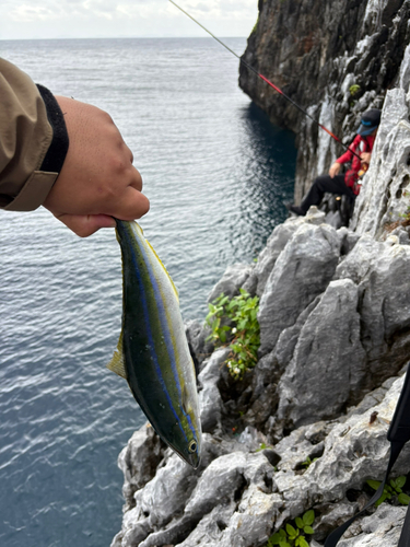 沖縄本島