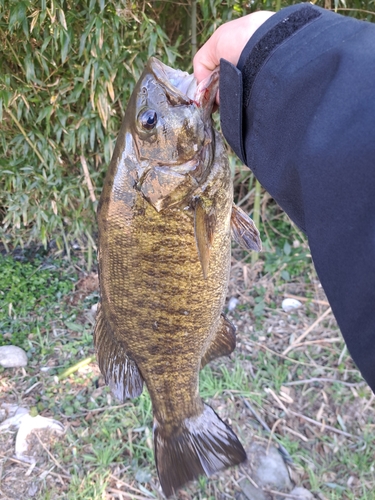 海老名運動公園