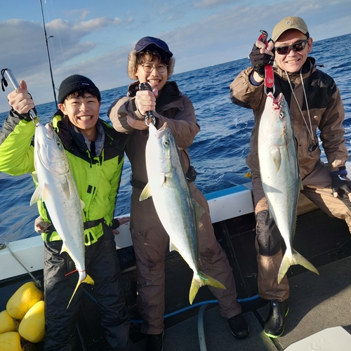 ブリの釣果