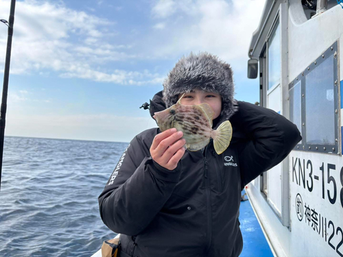 カワハギの釣果