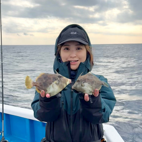 カワハギの釣果