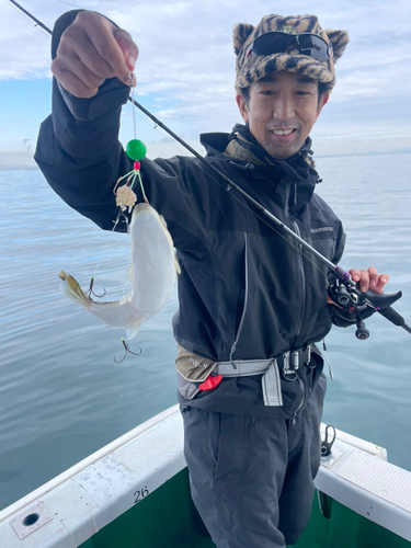 ショウサイフグの釣果