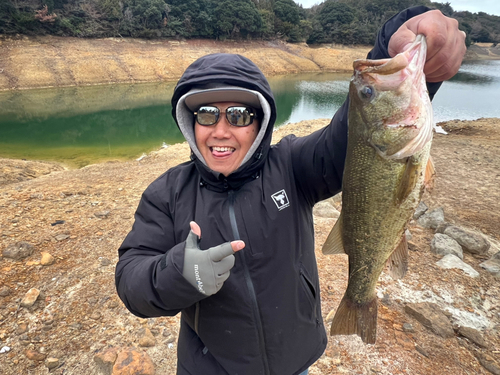 ラージマウスバスの釣果