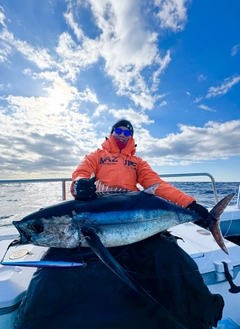 ビンチョウマグロの釣果