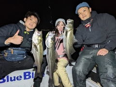 シーバスの釣果