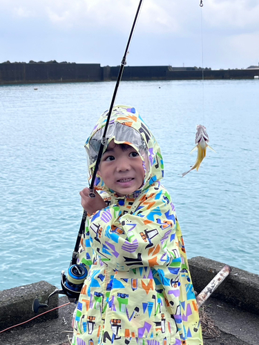 オキフエダイの釣果