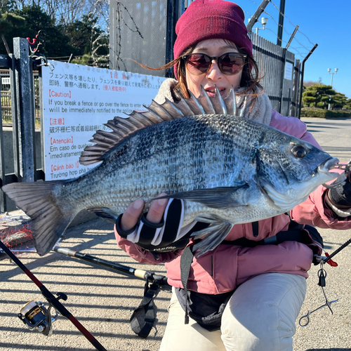 碧南海釣り公園