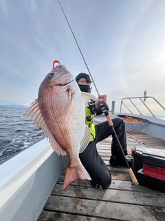 タイの釣果