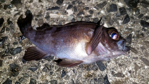 小豆島