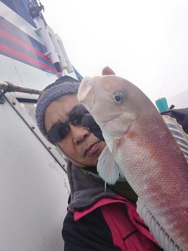 アマダイの釣果