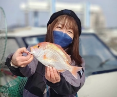 レンコダイの釣果