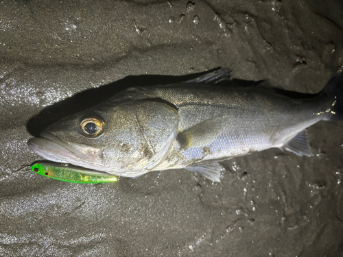 表浜名湖