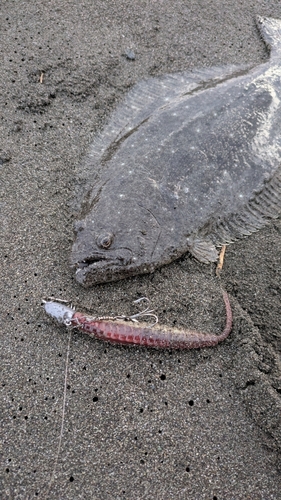 茅ヶ崎海岸