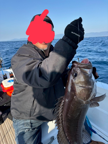 オオスジハタの釣果