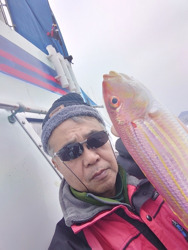 イトヨリダイの釣果