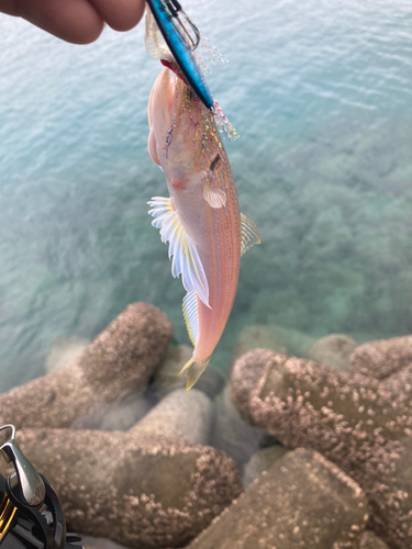 沖縄本島