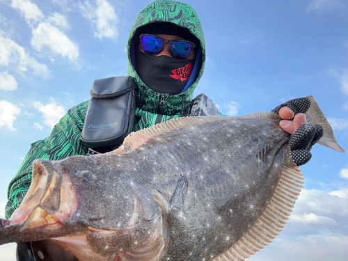 ヒラメの釣果