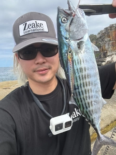 ハガツオの釣果