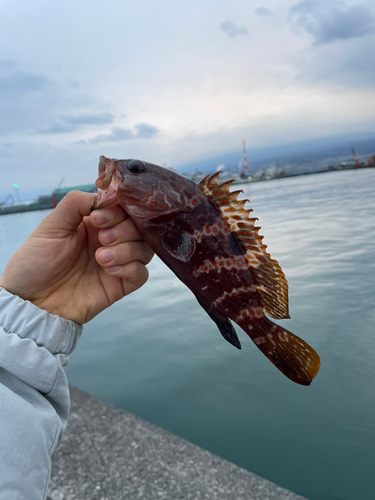 潤井川河口