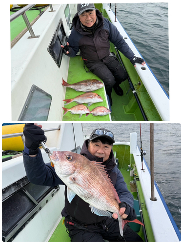 マダイの釣果