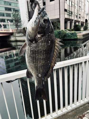 芝浦運河