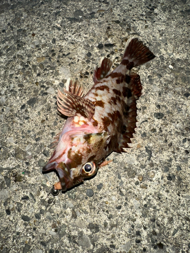 海辺つり公園