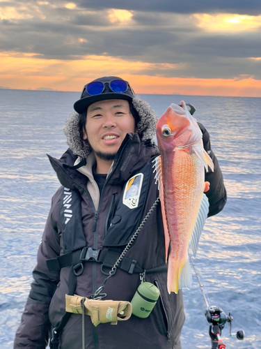 アカアマダイの釣果