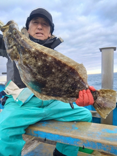 ヒラメの釣果