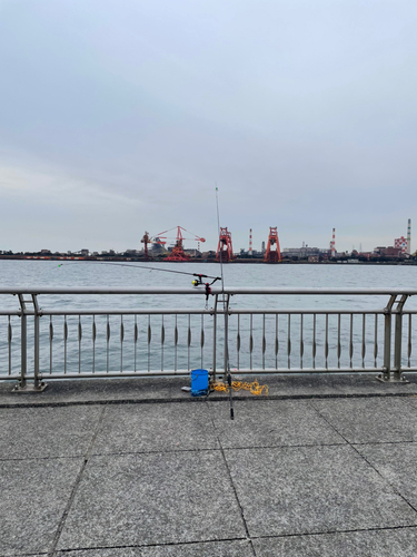 東扇島西公園