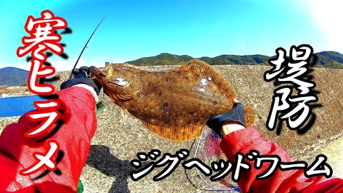 ヒラメの釣果