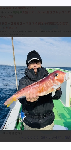 アマダイの釣果