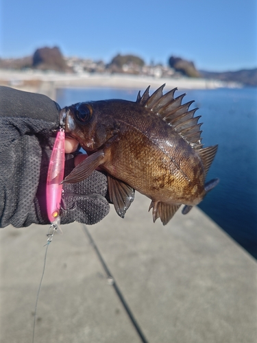 気仙沼湾