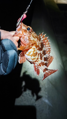 福の浦漁港