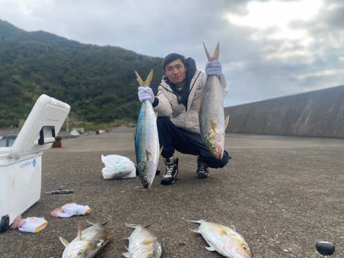 カンパチの釣果