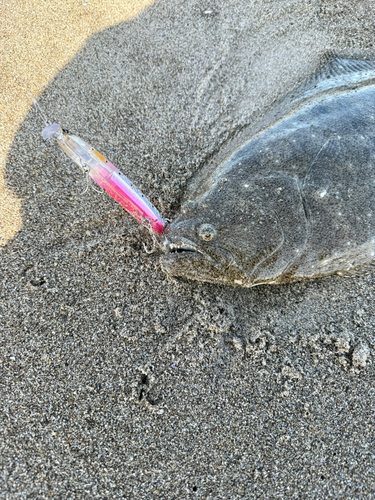 釣果