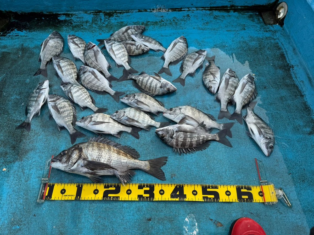 滝さんの釣果 1枚目の画像