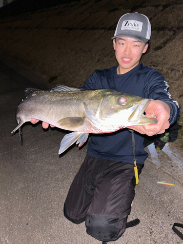 東京湾（アクアライン〜富津）