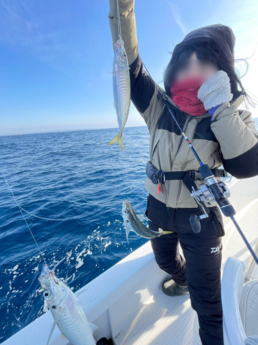 ムロアジの釣果