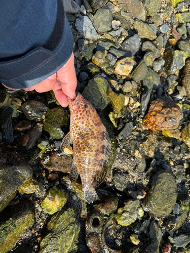 幸ノ浦漁港