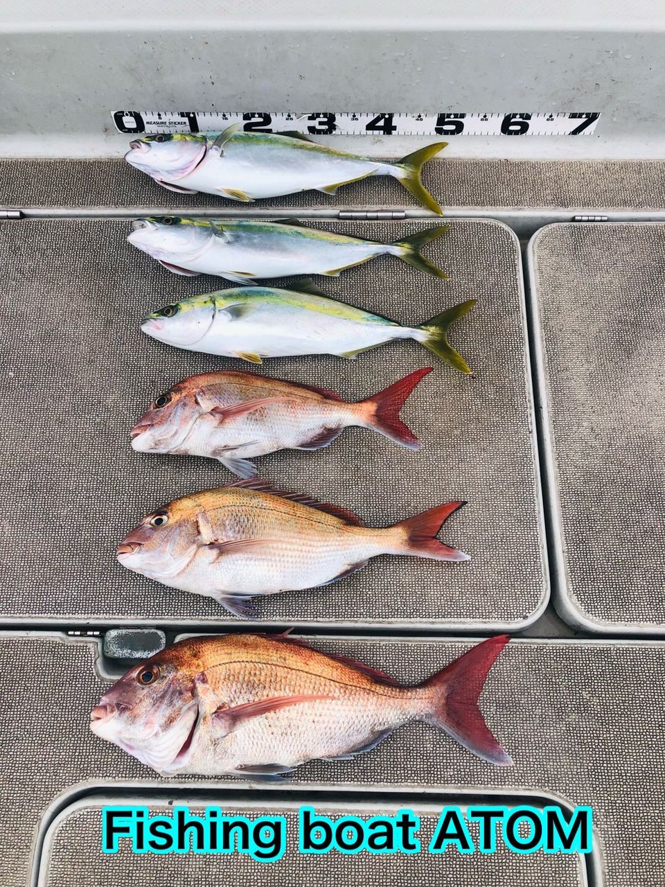 fishingboat.atomさんの釣果 2枚目の画像