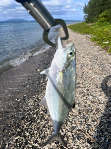 沖縄本島北部