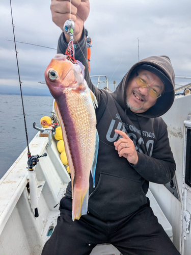 アマダイの釣果